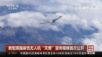 国产公开免费视频,带你领略光影魅力